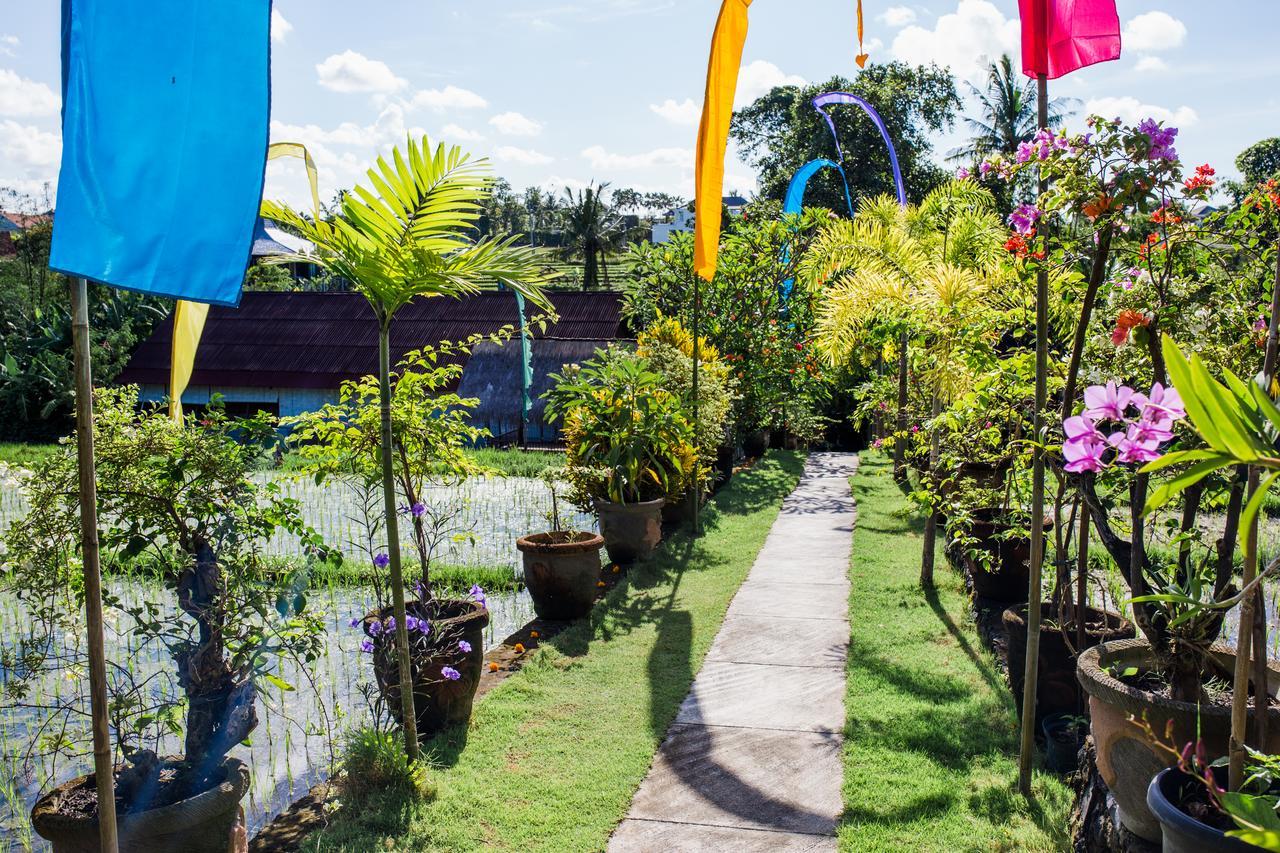 Matra Bali Guesthouse Canggu Esterno foto